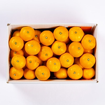 八幡浜産　あまーい小玉みかん計3kg【C56-88】