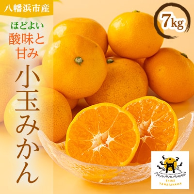 八幡浜産　小玉みかん　7kg　箱パンパン!【D56-89】