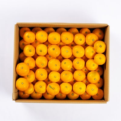 八幡浜産　小玉みかん　7kg　箱パンパン!【D56-89】