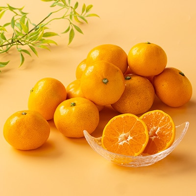 八幡浜産　小玉みかん　7kg　箱パンパン!【D56-89】