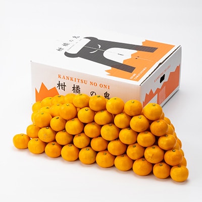 八幡浜産　小玉みかん　7kg　箱パンパン!【D56-89】