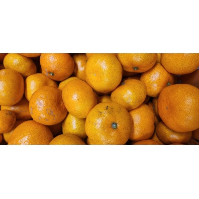 栽培期間中農薬不使用のみかん計12kg【C56-90】