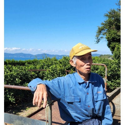 栽培期間中農薬不使用のみかん計12kg【C56-90】