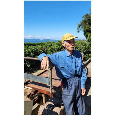 栽培期間中農薬不使用のみかん計6kg【今季限り】【B56-91】