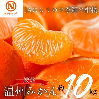 JAにしうわの季節の柑橘(温州みかん10kg)【E08-1】
