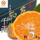 JAにしうわの季節の柑橘(日の丸共選 「千兩」 約5kg)【D08-2】