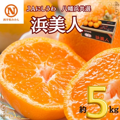 JAにしうわの季節の柑橘(八幡浜共選「浜美人」約5kg)【D08-42】