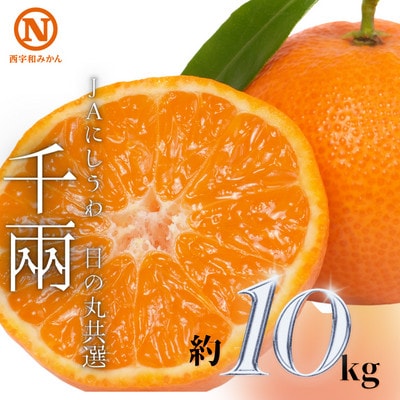 JAにしうわの季節の柑橘(日の丸共選「千兩」約10kg)【F08-46】