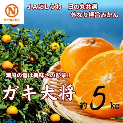 JAにしうわの季節の柑橘(日の丸共選「ガキ大将」約5kg)【C08-47】