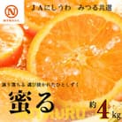 JAにしうわの季節の柑橘(みつる共選「蜜る」約4kg)【D08-48】