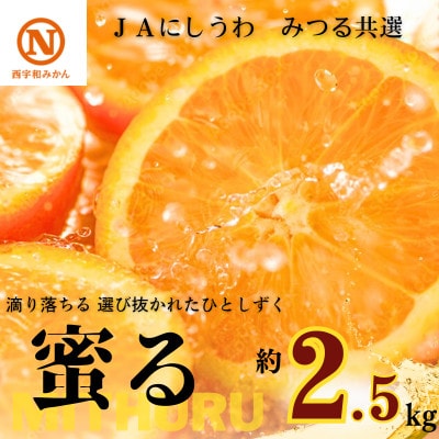 JAにしうわの季節の柑橘(みつる共選「蜜る」約2.5kg)【C08-74】