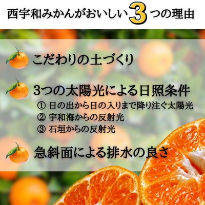 JAにしうわの季節の柑橘(みつる共選「蜜る」約2.5kg)【C08-74】