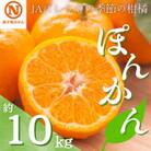 JAにしうわの季節の柑橘(ポンカン 約10kg)【F08-5】