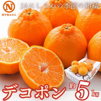 JAにしうわの季節の柑橘(デコポン 約5kg　化粧箱)【E08-8】