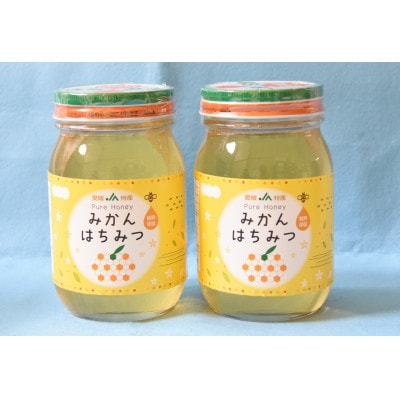 JAにしうわ みかんはちみつ600g×2本入 化粧箱【F08-70】