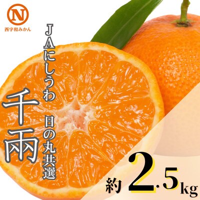 JAにしうわの季節の柑橘(日の丸共選 「千兩」 約2.5kg)【C08-77】