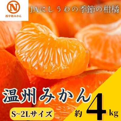 JAにしうわの季節の柑橘　温州みかん約4kg(S～2Lサイズ)【C08-79】