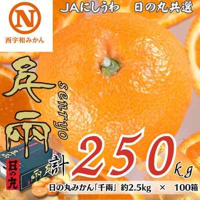 特選みかん「千兩」計250kg(約2.5kg×100箱)【H08-82】