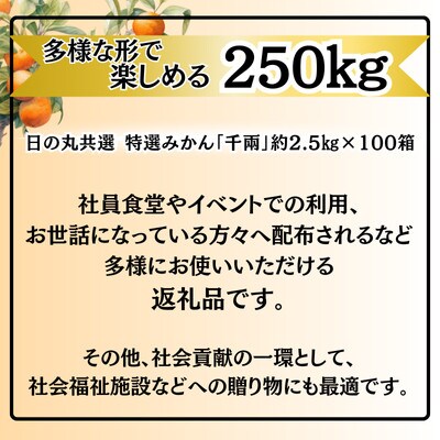 特選みかん「千兩」計250kg(約2.5kg×100箱)【H08-82】