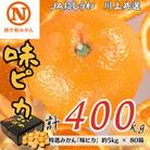 特選みかん「味ピカ」計400kg(約5kg×80箱)【H08-85】