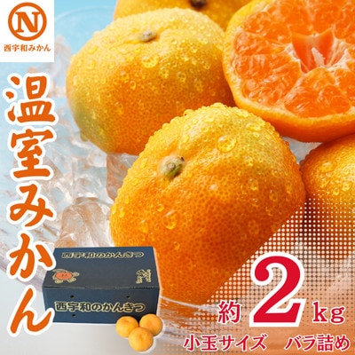 JAにしうわの季節の柑橘「温室みかん 約2kg(小玉サイズバラ詰め)」【D08-52】