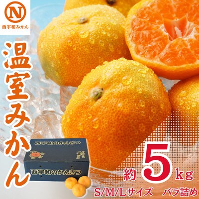 JAにしうわの季節の柑橘「温室みかん 約5kg(S・M・Lサイズバラ詰め)」【H08-54】