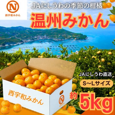 JAにしうわ直送　にしうわ温州みかん　約5kg【C08-97】