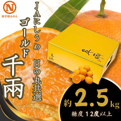 JAにしうわの季節の柑橘(日の丸共選「ゴールド千兩」約2.5kg)【08-98】