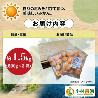 小林果園の冷凍むきみかん(500g×3袋)【訳あり】【24-49】