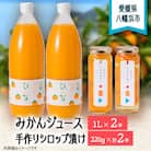 みかんジュースと手作りシロップ漬けのセット【D18-1】