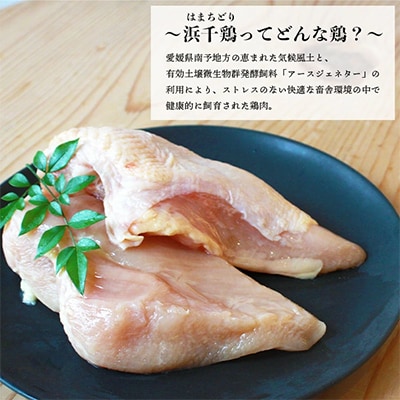 浜千鶏セット・浜千鶏焼き鳥セット【F29-3】【複数個口で配送】