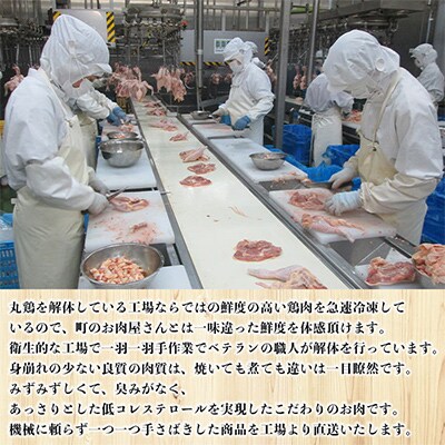 浜千鶏セット・浜千鶏焼き鳥セット【F29-3】【複数個口で配送】