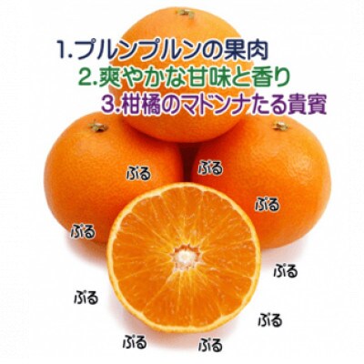 プルプルの果肉ととろける美味しさ!愛媛県八幡浜産媛まどんな5kg【贈答用】【G35-12】