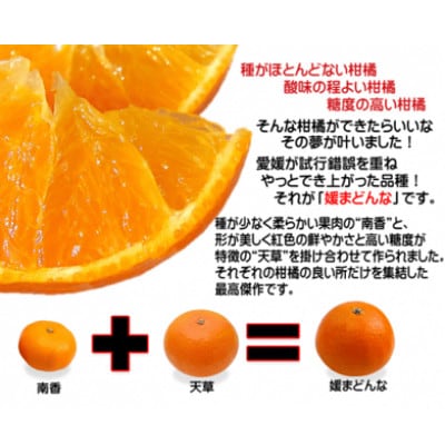 プルプルの果肉ととろける美味しさ!愛媛県八幡浜産媛まどんな5kg【贈答用】【G35-12】