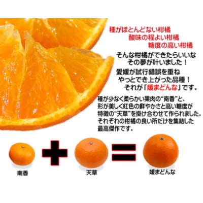 プルプルの果肉ととろける美味しさ!愛媛県八幡浜産媛まどんな3kg【贈答用】【D35-11】