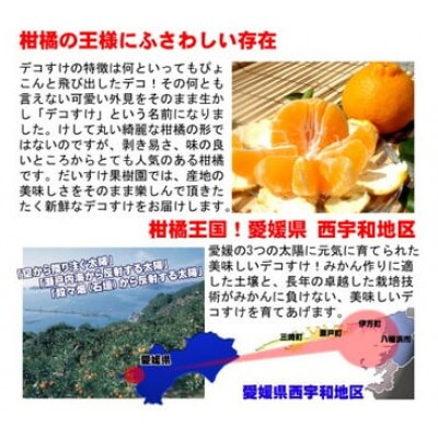 贈っても喜ばれる!思わず笑顔がこぼれる!愛媛県八幡浜産デコすけ10kg【贈答用】【H35-21】
