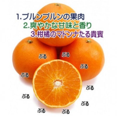 柑橘界のスイーツ!?愛媛県八幡浜産媛まどんな5kg【訳あり】【E35-10】