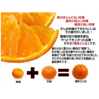 柑橘界のスイーツ!?愛媛県八幡浜産媛まどんな5kg【訳あり】【E35-10】