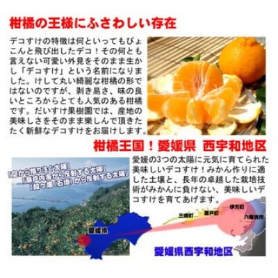 柑橘の王様にふさわしい存在感!爽やかな味!愛媛県八幡浜産デコすけ5kg【贈答用】【F35-20】