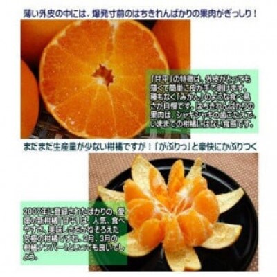 はちきれんばかりの果肉がぎっしり!愛媛県八幡浜産・甘平5kg【訳あり】【E35-16】