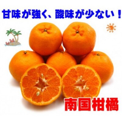 愛媛県産ポンカン10kg【訳あり】【D35-14】