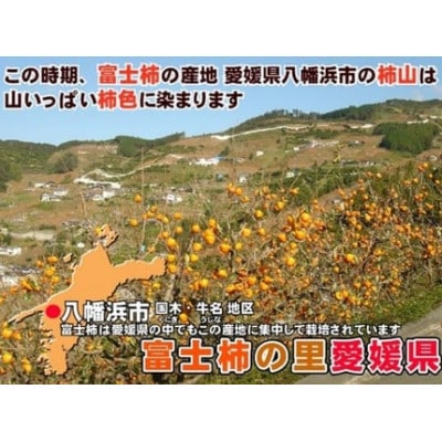 愛媛県産富士柿大玉(5玉～7玉)と愛媛みかん(早生)5kg詰め合わせセット【D35-5】