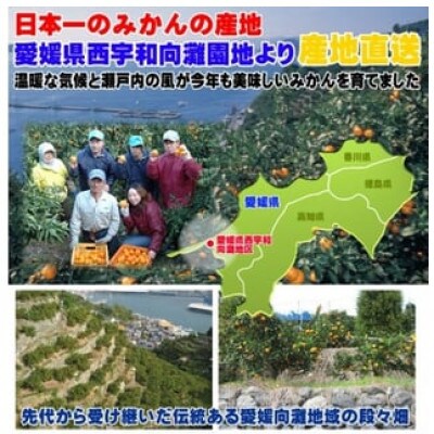 愛媛県八幡浜産 愛媛みかん10kg(早生)【F35-9】