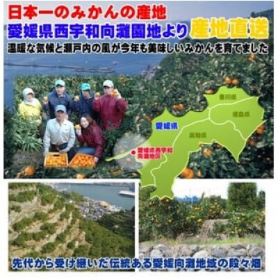 愛媛県産愛媛みかん5kg(早生)と果汁100%ストレートジュースおまかせ3本セット【D35-8】