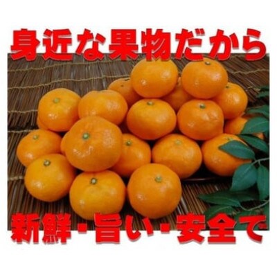 愛媛県八幡浜産愛媛みかん5kg(早生)【C35-7】