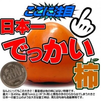 愛媛県八幡浜産富士柿10kg【中玉】【F35-6】