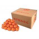 真穴みかん 【サイズおまかせ】 10kg【H43-6】