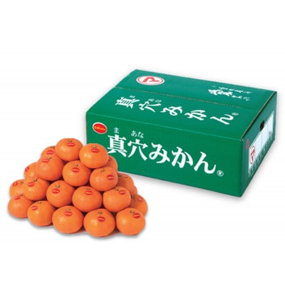 真穴みかん【2Lサイズ】約5kg【E43-11】