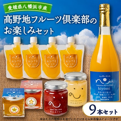 高野地フルーツ倶楽部のお楽しみセット【F46-6】