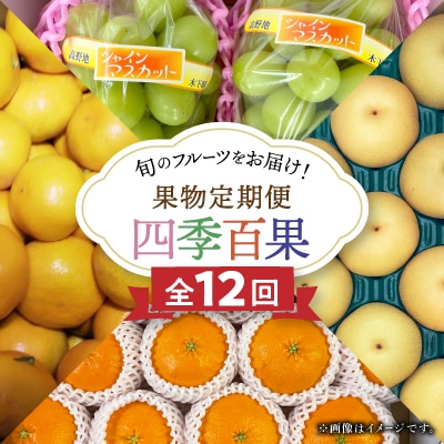 【発送月固定定期便】果物定期便「四季百果」～旬のフルーツをお届けします!全12回【H46-5】